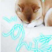 ヒメ日記 2025/11/19 09:20 投稿 なずな 熟女デリヘル倶楽部