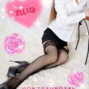 ヒメ日記 2025/02/25 12:38 投稿 れいな 鴨川excellent