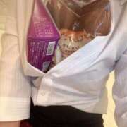 ヒメ日記 2024/12/22 07:37 投稿 四ノ宮　れん プルプル京都性感エステ　はんなり