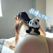 ヒメ日記 2024/12/28 08:19 投稿 ゆず 錦糸町人妻花壇