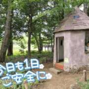 ヒメ日記 2025/01/26 04:09 投稿 ゆず 錦糸町人妻花壇