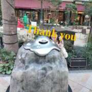 ヒメ日記 2025/04/07 02:27 投稿 ゆず 錦糸町人妻花壇