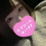 ヒメ日記 2025/02/08 19:54 投稿 おもち 埼玉本庄ちゃんこ