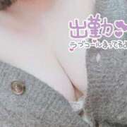 ヒメ日記 2025/02/11 14:44 投稿 おもち 埼玉本庄ちゃんこ