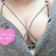 ヒメ日記 2025/02/11 19:54 投稿 おもち 埼玉本庄ちゃんこ