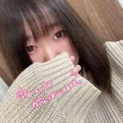 ヒメ日記 2025/02/13 12:24 投稿 おもち 埼玉本庄ちゃんこ