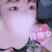 ヒメ日記 2025/02/13 16:14 投稿 おもち 埼玉本庄ちゃんこ