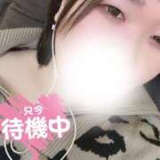 ヒメ日記 2025/02/16 00:44 投稿 おもち 埼玉本庄ちゃんこ