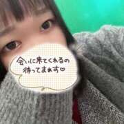 ヒメ日記 2025/02/17 16:14 投稿 おもち 埼玉本庄ちゃんこ