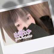 ヒメ日記 2025/04/08 15:04 投稿 おもち 埼玉本庄ちゃんこ