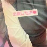 ヒメ日記 2025/04/19 15:04 投稿 おもち 埼玉本庄ちゃんこ