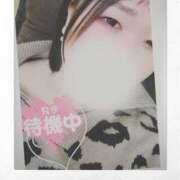 ヒメ日記 2025/04/20 18:24 投稿 おもち 埼玉本庄ちゃんこ