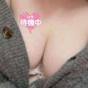 ヒメ日記 2025/04/29 18:34 投稿 おもち 埼玉本庄ちゃんこ