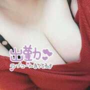 ヒメ日記 2025/05/29 15:04 投稿 おもち 埼玉本庄ちゃんこ