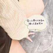 ヒメ日記 2025/05/31 14:54 投稿 おもち 埼玉本庄ちゃんこ