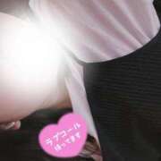 ヒメ日記 2025/06/28 15:34 投稿 おもち 埼玉本庄ちゃんこ