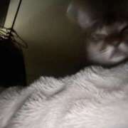 ヒメ日記 2024/12/20 09:55 投稿 もも 僕のぽっちゃり伝説