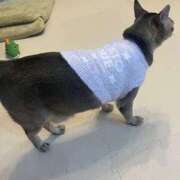 ヒメ日記 2025/02/27 09:50 投稿 もも 僕のぽっちゃり伝説