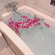 ヒメ日記 2025/04/15 05:35 投稿 もも 僕のぽっちゃり伝説