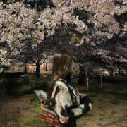 ヒメ日記 2025/07/16 23:33 投稿 王妃 レナ ニューハーフヘルスSURPRISE ONE日本橋店