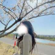 ヒメ日記 2025/04/13 12:23 投稿 りん ニューハーフヘルスSURPRISE ONE日本橋店