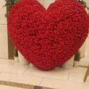 ヒメ日記 2025/01/19 12:00 投稿 けい 性腺熟女100％（デリヘル市場）