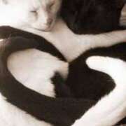 ヒメ日記 2025/02/02 18:00 投稿 けい 性腺熟女100％（デリヘル市場）