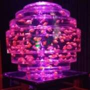 ヒメ日記 2025/05/06 14:30 投稿 けい 性腺熟女100％（デリヘル市場）