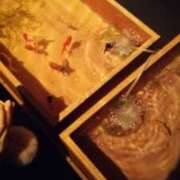 ヒメ日記 2025/07/02 19:05 投稿 けい 性腺熟女100％（デリヘル市場）