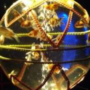 ヒメ日記 2025/07/31 13:05 投稿 けい 性腺熟女100％（デリヘル市場）