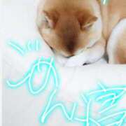 ヒメ日記 2025/11/06 16:00 投稿 けい 性腺熟女100％（デリヘル市場）