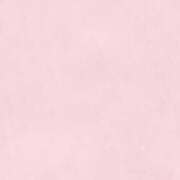 ヒメ日記 2025/03/13 11:25 投稿 れあ ビアガーデンカーニバル