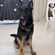 ヒメ日記 2025/02/21 22:01 投稿 なお 西船橋ときめき女学園