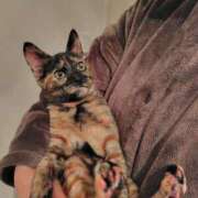 ヒメ日記 2025/03/01 07:01 投稿 なお 西船橋ときめき女学園