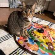 ヒメ日記 2025/03/03 19:35 投稿 なお 西船橋ときめき女学園