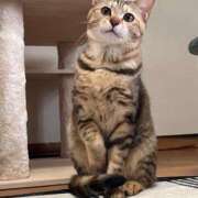 ヒメ日記 2025/03/04 15:01 投稿 なお 西船橋ときめき女学園