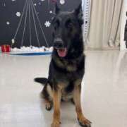 ヒメ日記 2025/03/28 15:01 投稿 なお 西船橋ときめき女学園