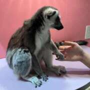 ヒメ日記 2025/03/29 12:04 投稿 なお 西船橋ときめき女学園