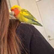 ヒメ日記 2025/06/06 12:04 投稿 なお 西船橋ときめき女学園