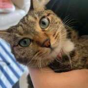 ヒメ日記 2026/01/19 11:59 投稿 なお 西船橋ときめき女学園