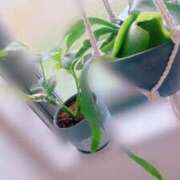 ヒメ日記 2025/11/10 17:59 投稿 あかり☆心と体の距離は濃厚密着♪ 妹系イメージSOAP萌えフードル学園 大宮本校