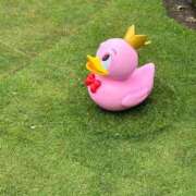 ヒメ日記 2025/07/14 17:02 投稿 かれん☆美しすぎるルックス♪ 妹系イメージSOAP萌えフードル学園 大宮本校