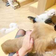 ヒメ日記 2024/12/23 21:04 投稿 さな☆魅力的な綺麗系美女♪ 妹系イメージSOAP萌えフードル学園 大宮本校