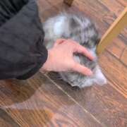 ヒメ日記 2025/11/28 07:31 投稿 なぎ☆一度会えばリピ確定♪ 妹系イメージSOAP萌えフードル学園 大宮本校