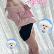 ヒメ日記 2025/07/21 07:26 投稿 なるみ☆ほぼ毎回ご予約完売！ 妹系イメージSOAP萌えフードル学園 大宮本校