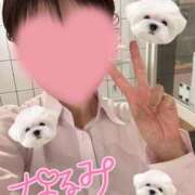 ヒメ日記 2025/11/30 00:21 投稿 なるみ☆ほぼ毎回ご予約完売！ 妹系イメージSOAP萌えフードル学園 大宮本校