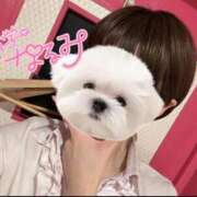 ヒメ日記 2026/01/11 09:01 投稿 なるみ☆ほぼ毎回ご予約完売！ 妹系イメージSOAP萌えフードル学園 大宮本校