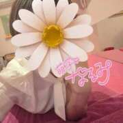 ヒメ日記 2026/06/27 02:01 投稿 なるみ☆ほぼ毎回ご予約完売！ 妹系イメージSOAP萌えフードル学園 大宮本校