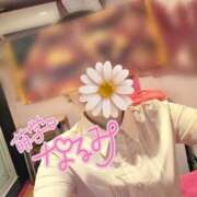 ヒメ日記 2026/08/09 14:21 投稿 なるみ☆ほぼ毎回ご予約完売！ 妹系イメージSOAP萌えフードル学園 大宮本校