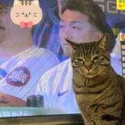 ヒメ日記 2025/03/16 20:40 投稿 ふうか☆濡れたぎるおま◯こ…… 妹系イメージSOAP萌えフードル学園 大宮本校